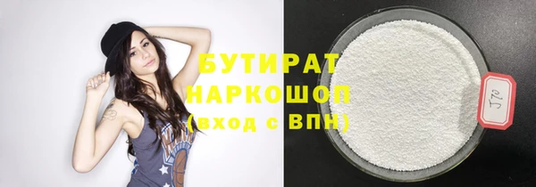 шишки Инта