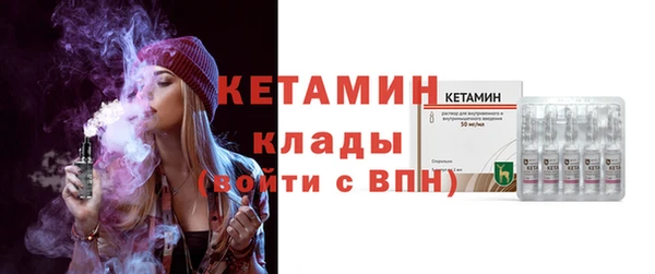 шишки Инта