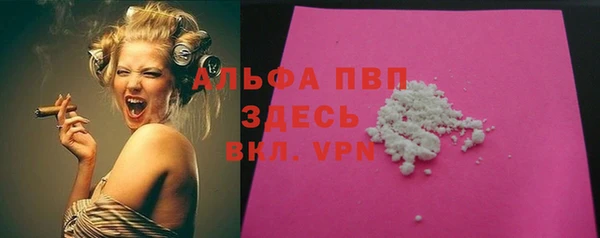шишки Инта