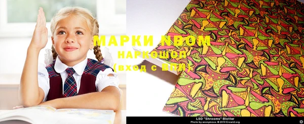 шишки Инта