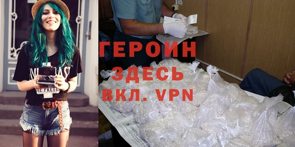шишки Инта