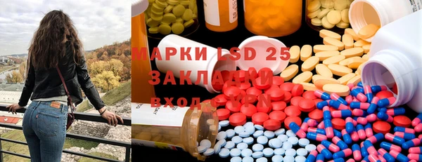 шишки Инта