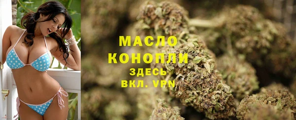 шишки Инта