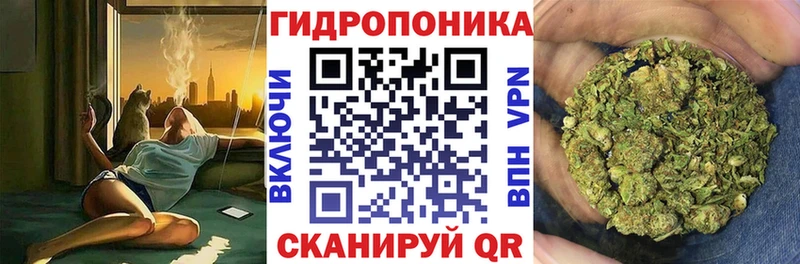 Конопля план Железногорск